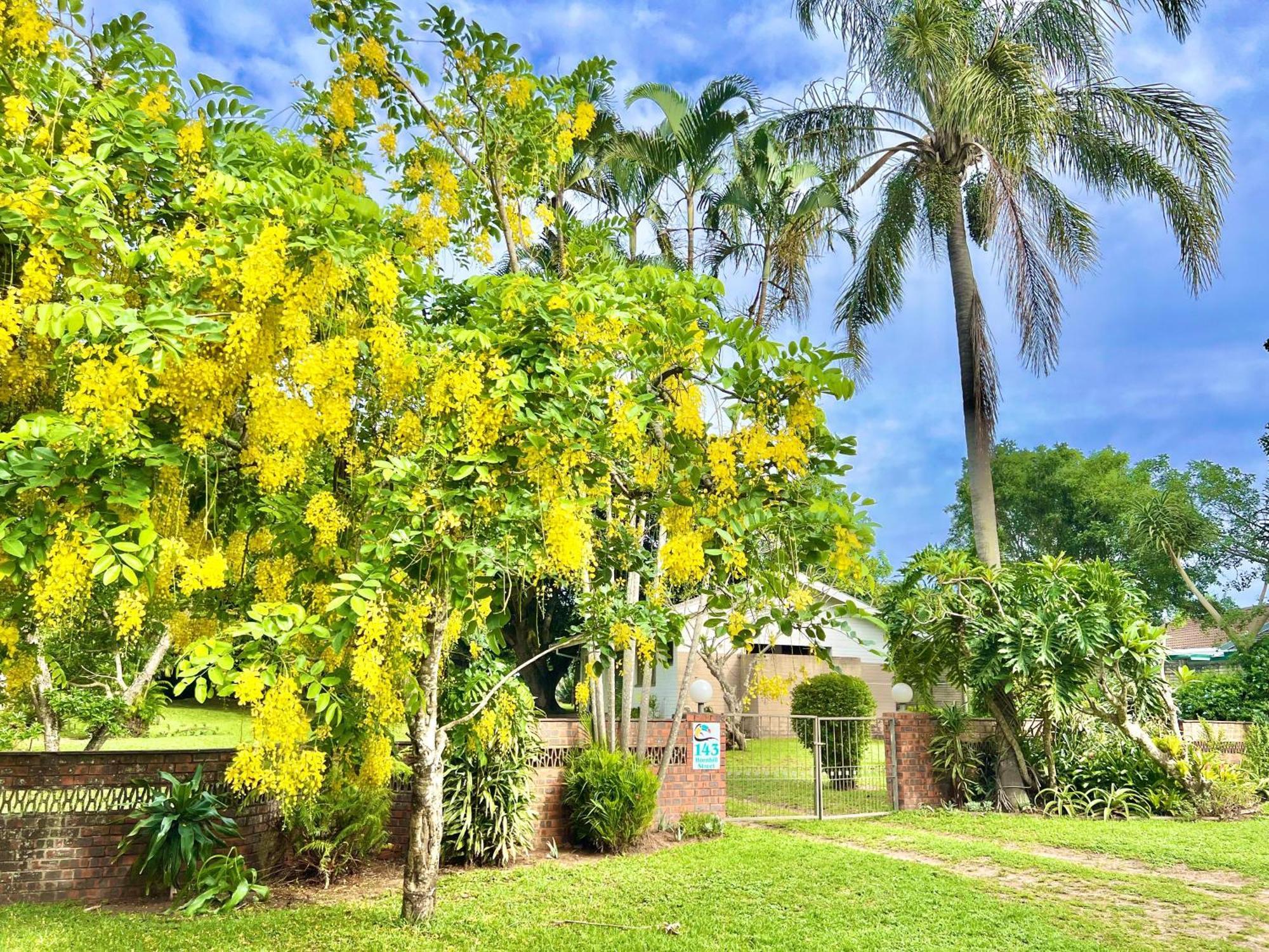 St Lucia Holiday Cottage Exterior foto